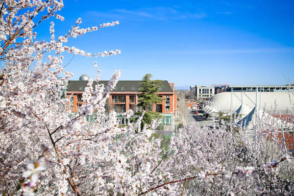 Beijing Haidian Foreign Language Shi Yan School was established in 1999